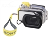 SONY W170