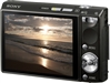 SONY T100