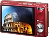 SONY T100
