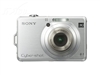SONY W100