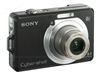 SONY W100