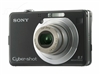 SONY W100
