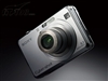 SONY W100