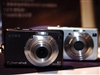 SONY W100