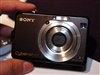 SONY W100