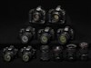 佳能EOS 1D Mark IV