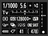 佳能EOS 1D Mark IV