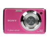 SONY W220