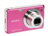 SONY W220