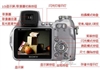 SONY DSC-H1