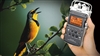 SONY PCM-D50(4GB)