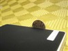 三星金钻(80G)
