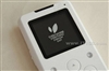 IRIVER E10