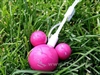 IRIVER Mplayer