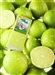 三星YP-T10(2GB)