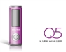 驰为Q5(2GB)