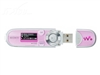 SONY NWZ-B142F(2GB)