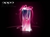 oppo X1(2GB)