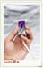 oppo X1(2GB)