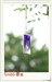 oppo X1(2GB)