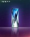 oppo X1(2GB)