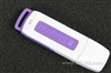 Kingston DataTraveler(2GB)