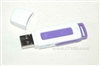 Kingston DataTraveler(2GB)