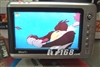 麦多P10