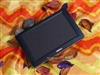 iAUDIO COWON Q5(60G)