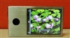 飚王SMP024