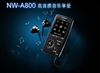 SONY NW-A808(8GB)