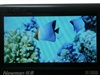 纽曼宽屏王M6000(40GB)
