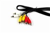 瑞珀R1(豪华版)