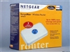 NETGEAR WPN824