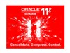 ORACLE Oracle 11g 企业版