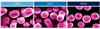 惠普Color LaserJet 3600dn