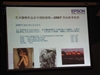 爱普生Stylus Photo R1900