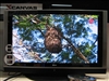 LG 50PC1RR
