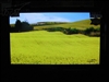 日立P50X101C