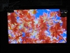 日立P50X101C