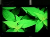 创维42L02RF