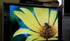 夏普LCD-65RX1