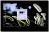 LG 42LG50FR