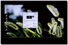 LG 42LG50FR