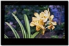 LG 47LG50FR