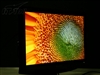 夏普LCD-32D30