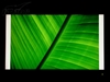 夏普LCD-32GH3