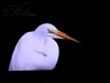 清华同方LC-42B76