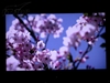 清华同方LC-42B76