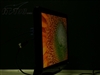 夏普LCD-32A33